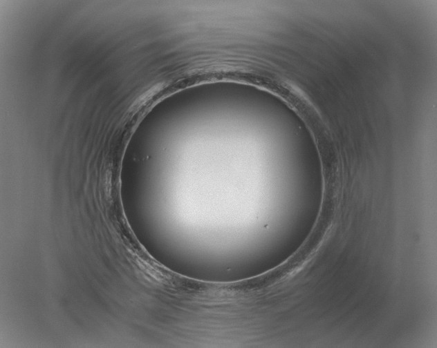 X0000077990777200611101727