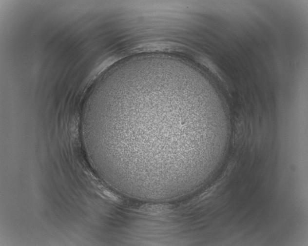 X0000077990778200611101727