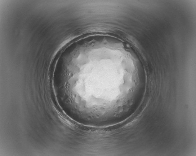 X0000077990779200611101727