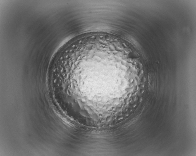 X0000077990780200611101727