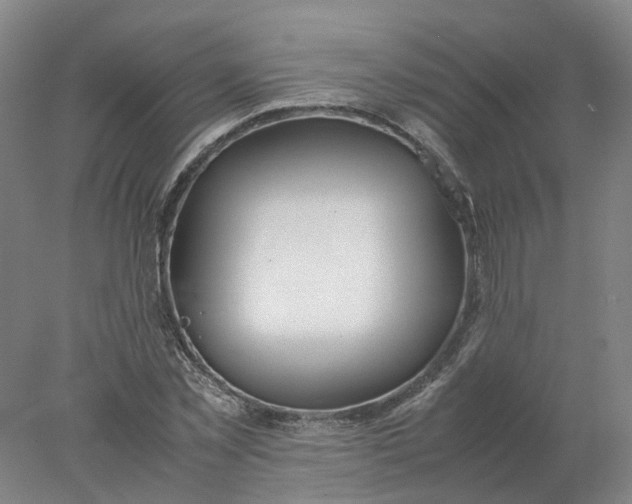 X0000077990781200611101727