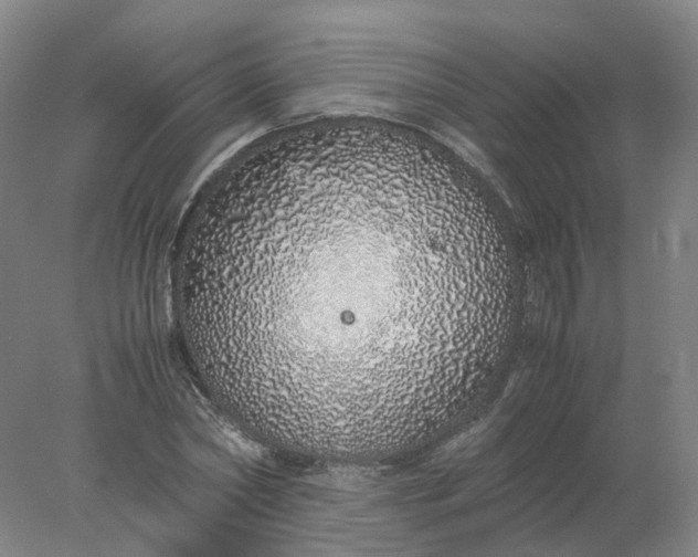 X0000077990782200611101727