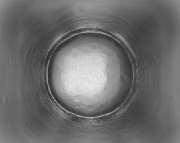 X0000077990783200611101727