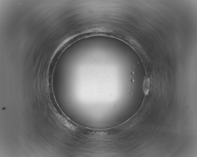 X0000077990784200611101727