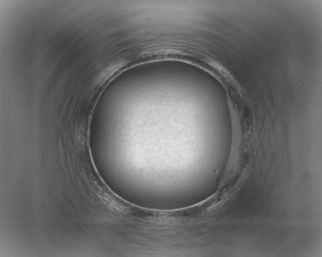 X0000077990785200611101727