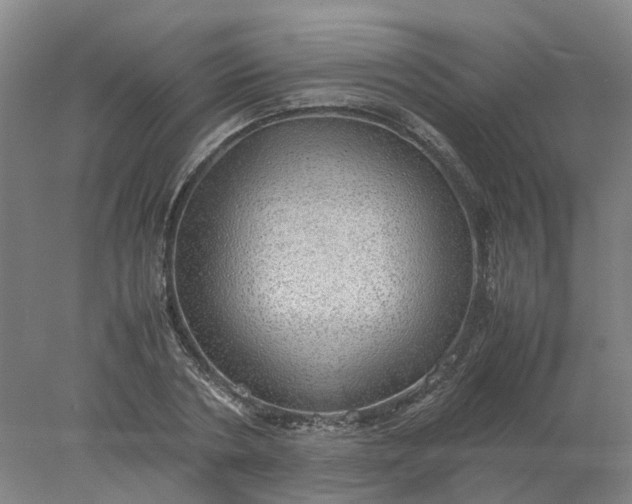 X0000077990786200611101727