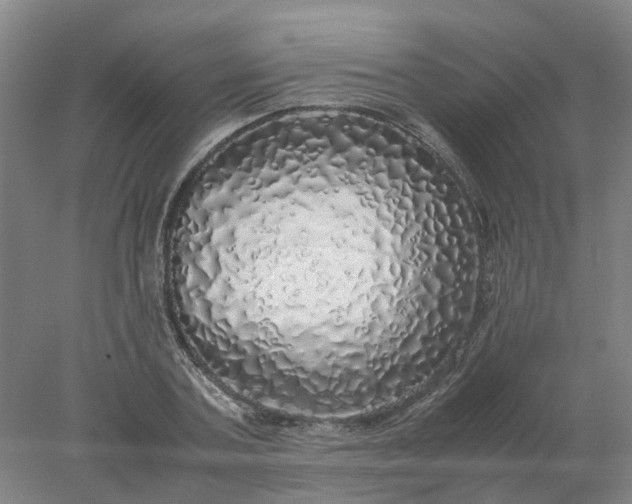 X0000077990787200611101727