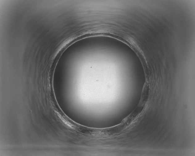 X0000077990789200611101727