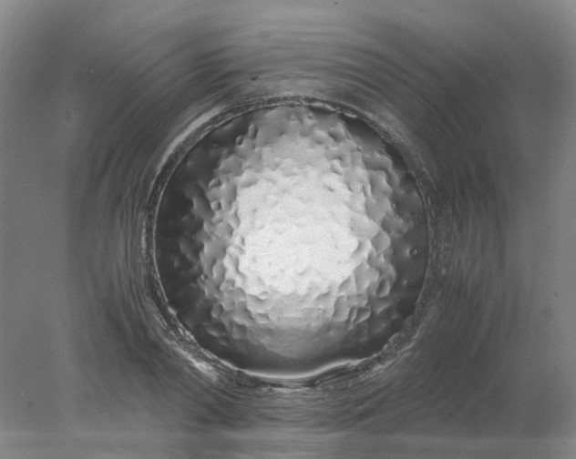 X0000077990790200611101727