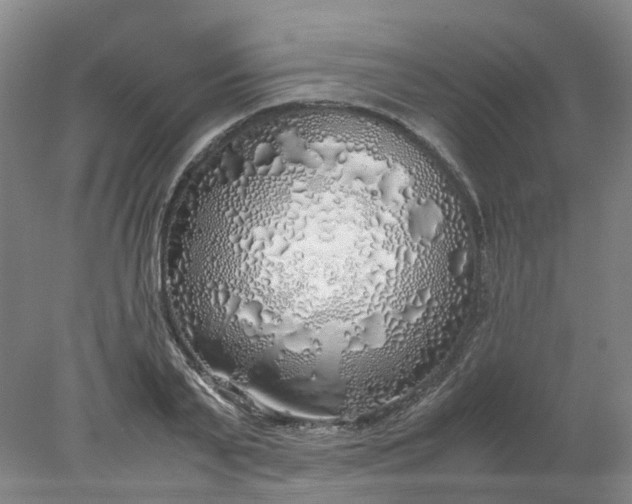 X0000077990791200611101727