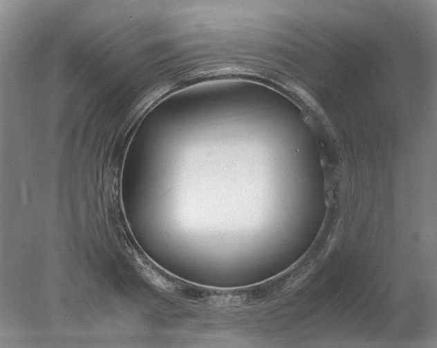 X0000077990793200611101727