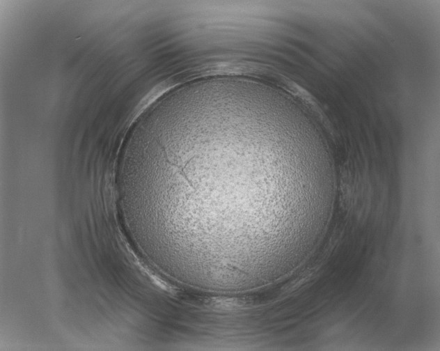 X0000077990794200611101727