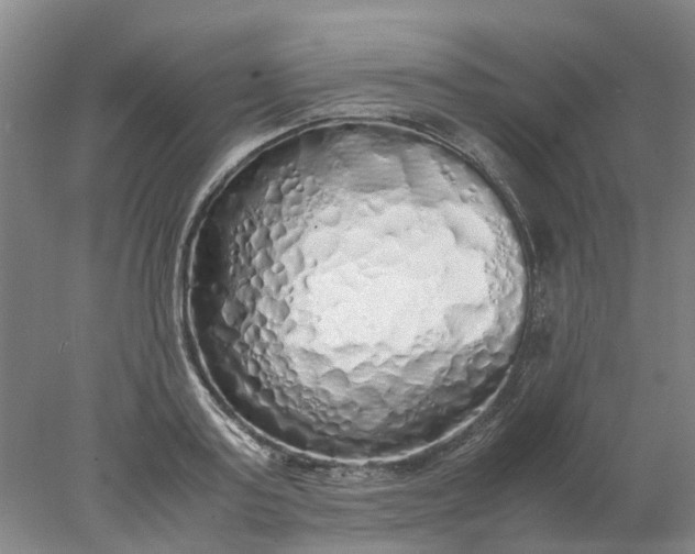 X0000077990795200611101727