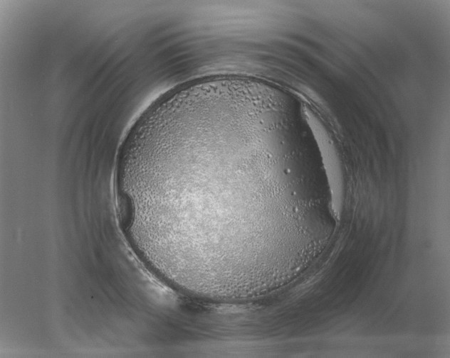 X0000077990796200611101727