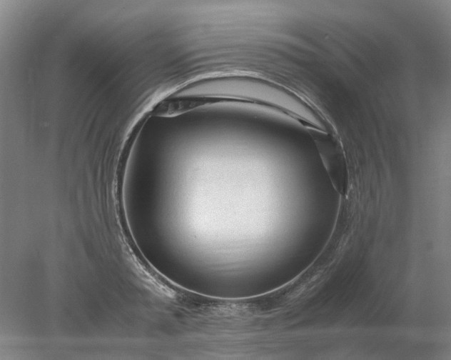 X0000077990797200611101727