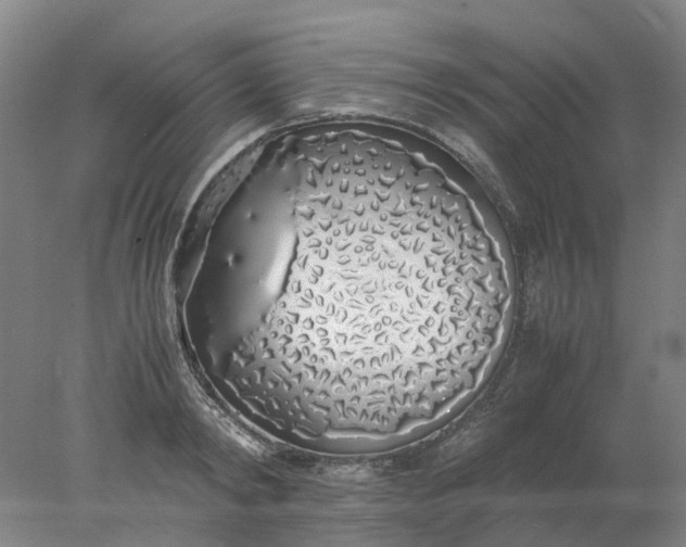 X0000077990798200611101727