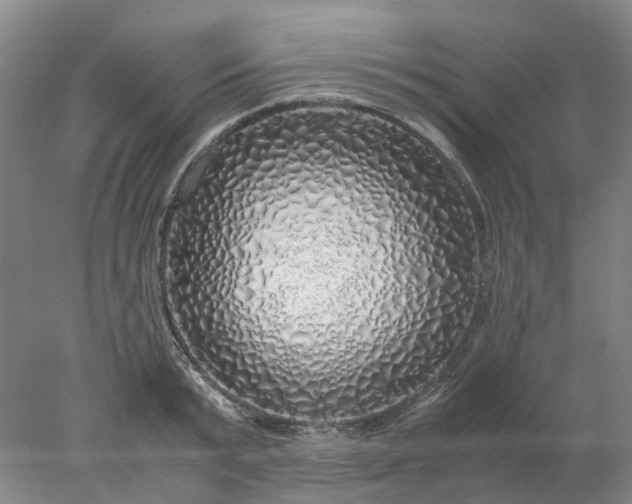 X0000077990799200611101727