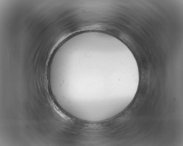 X0000077990800200611101727