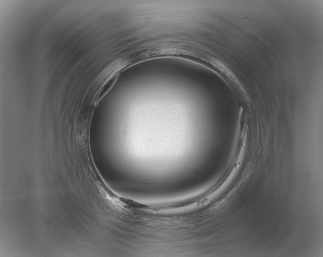 X0000077990801200611101727