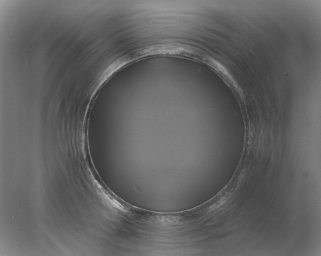 X0000077990802200611101727