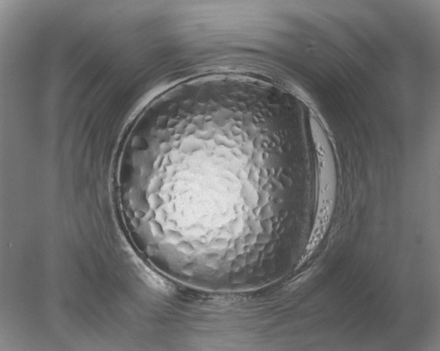 X0000077990803200611101727