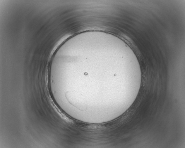 X0000077990804200611101727