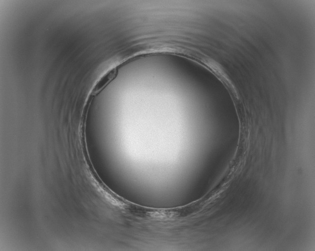 X0000077990805200611101727