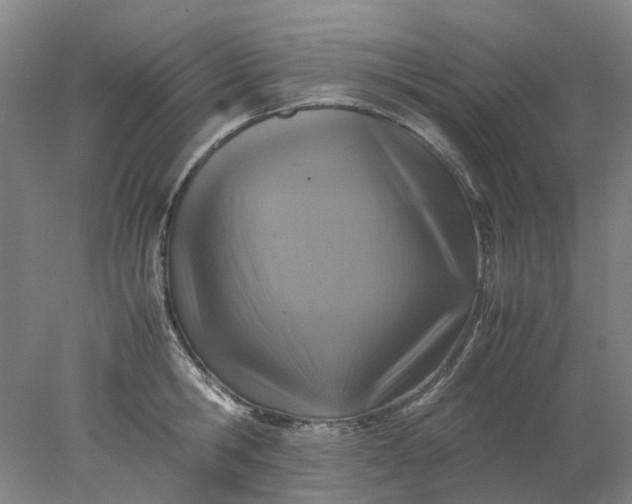 X0000077990806200611101727