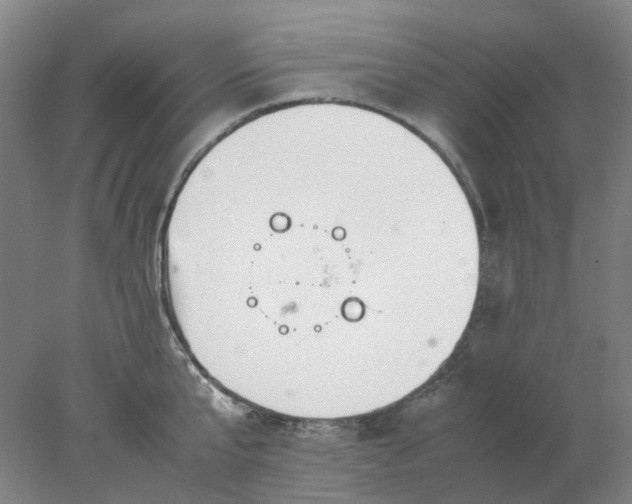 X0000077990807200611101727