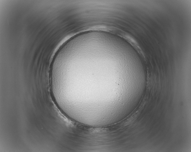 X0000077990808200611101727