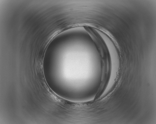 X0000077990809200611101727