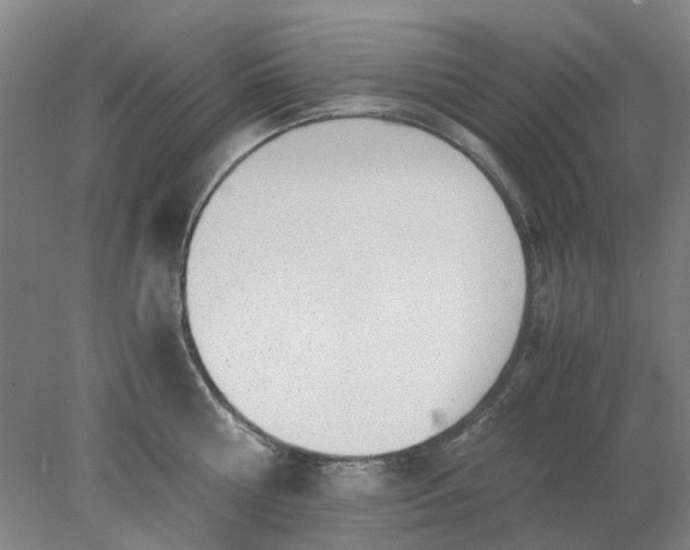 X0000077990810200611101727