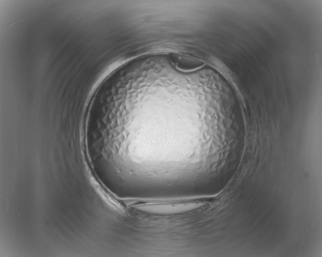 X0000077990811200611101727