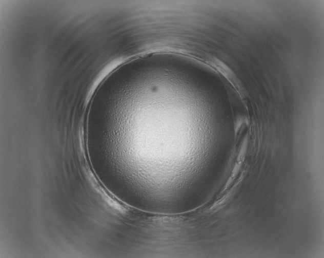 X0000077990812200611101726