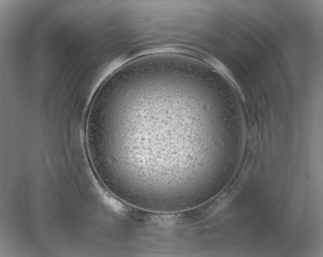 X0000077990813200611101726