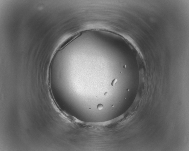 X0000077990815200611101726