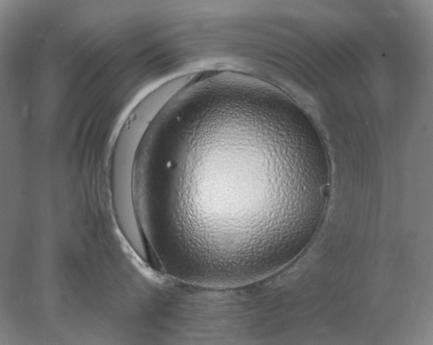 X0000077990816200611101726