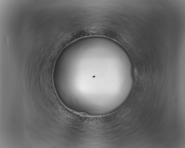 X0000077990817200611101726