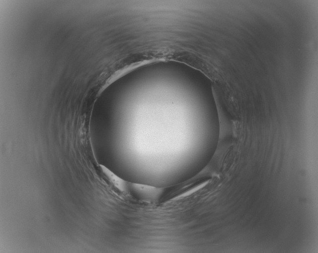 X0000077990818200611101726