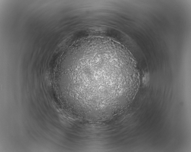 X0000077990819200611101726