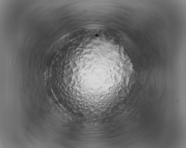 X0000077990821200611101726