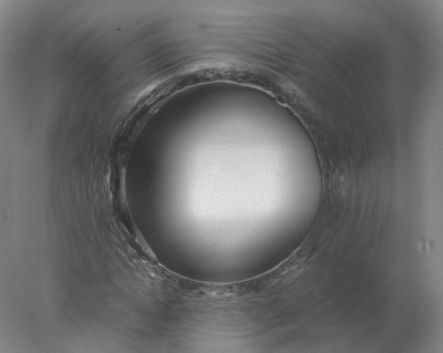 X0000077990822200611101726