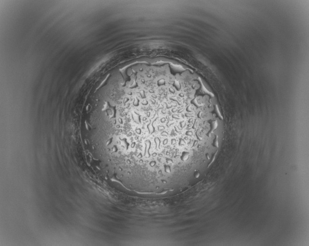 X0000077990823200611101726