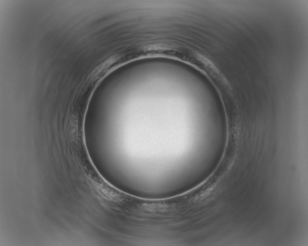 X0000077990825200611101726