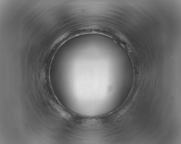 X0000077990826200611101726