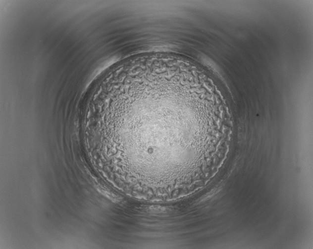 X0000077990827200611101726