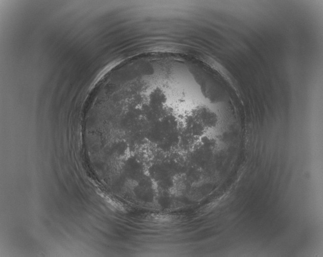 X0000077990829200611101726