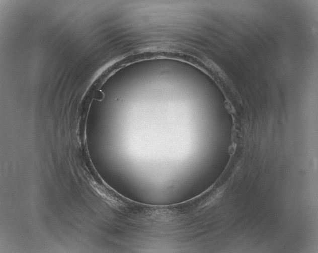 X0000077990830200611101726