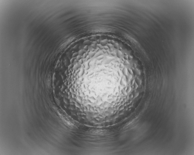 X0000077990833200611101726