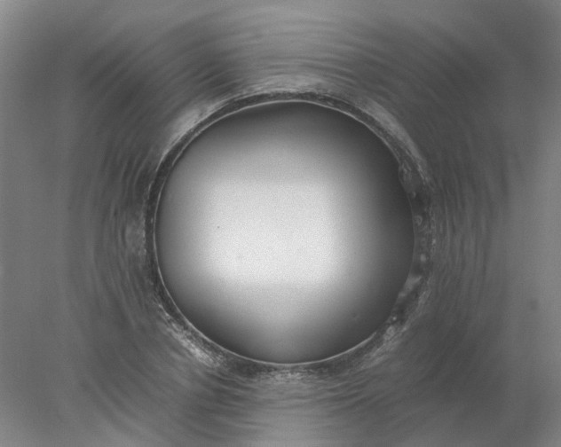 X0000077990834200611101726